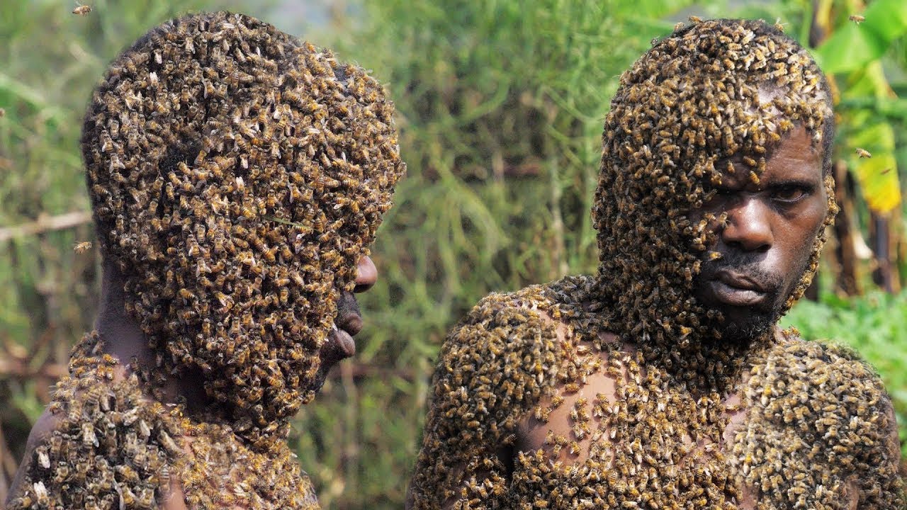 Vidéo : A la découverte d'un homme sorcier qui se couvre des millions d'abeilles