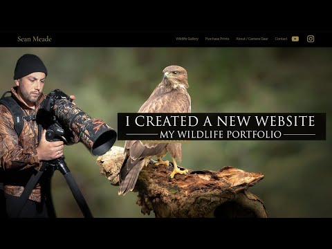 My New Website - Irish Wildlife Photography
