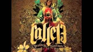 Calle 13-Japon pon