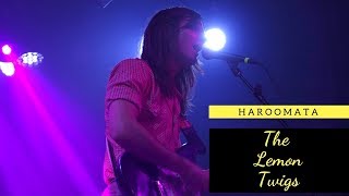 Haroomata -- The Lemon Twigs