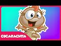 Cucarachita Gallina Pintadita 1 Oficial Canciones Infantiles Para Niños Y Bebés
