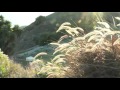 Matt Maher - Everything Is Grace