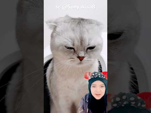 ganti pake yang canggih‼️Sonyakisa8