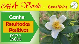 CH VERDE obtenha RESULTADOS POSITIVOS para a sade [Benefcios do ch verde como fazer Emagrece?]
