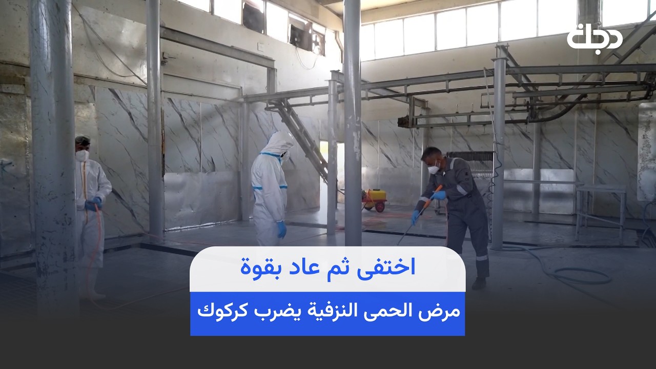 فيديو | اختفى ثم عاد بقوة.. مرض الحمى النزفية يضرب كركوك