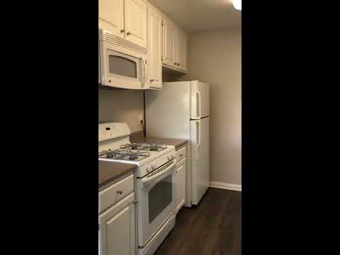 1 Bedroom 1 Bath (810 sq ft. Layout 1X1D)