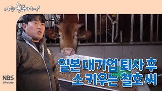 [나는농부다 284회] 일본 대기업 퇴사 후 소 키우는 철호 씨