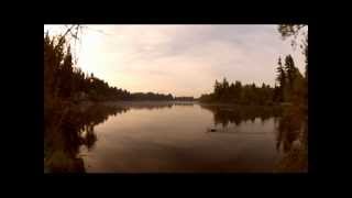 LAKE PEOPLE 'Trace Ae' (Connaisseur Recordings) mood video