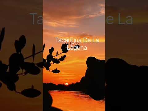 Tacarigua De la Laguna Barlovento estado Miranda