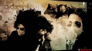 Andrés Calamaro Nacimos para correr Letras