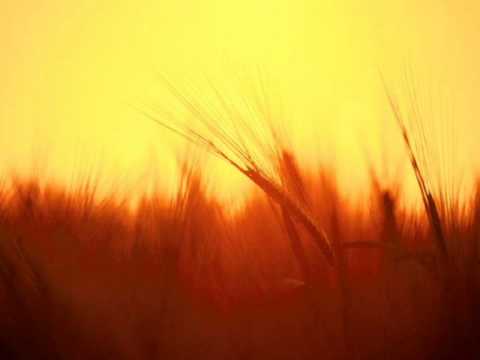 Pattraxx Ft. Elusun - Marias Theme (vocal trance)(HQ)