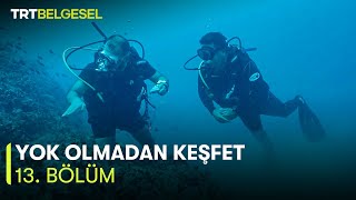Yok Olmadan Keşfet | Saros Körfezi'ni Koruma Çalışmaları ve İklim Değişimi | TRT