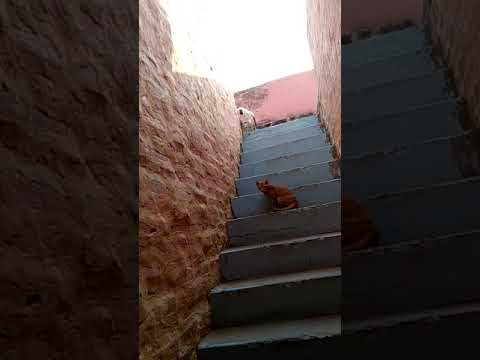 Apna bachpan to aaj jaisa kahan tha(5)