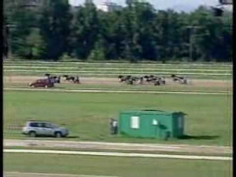 LOVASÉLET SPRINTER KUPA/ 1800 m Autostart.wmv