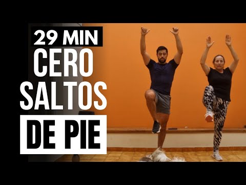 Standing cardio for abs and waist: exercises to lose weight at home without jumping