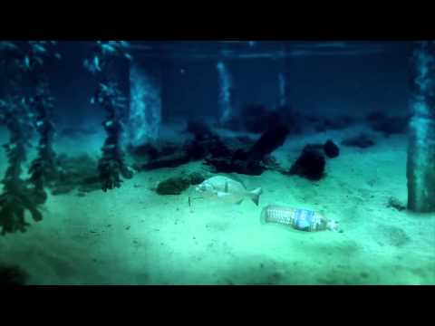 A odisseia de uma garrafa | ONU Meio Ambiente