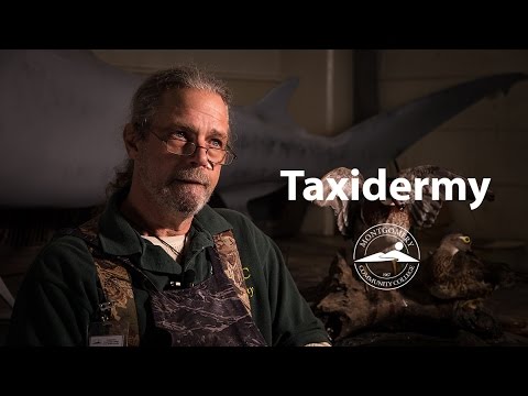 Taxidermy at Montgomery Community College