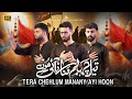 New Nohay 2025 Tera Chehlum Manany Ayi Hoon Arbaeen Noha Kazmi Brothers 110