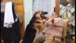 Egyptian Man Tells Dog They Can't Be Friends Anymore