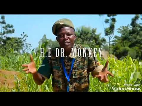 Jageri - Dr Monkey
