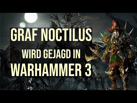 Graf Noctilus wird gejagd auf Sehr Schwer | Warhammer 3 | Livestream Aufzeichnung