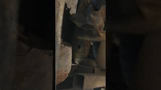 youtube-video