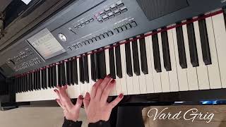 Vard Grig - Schindler's List piano version (2023)