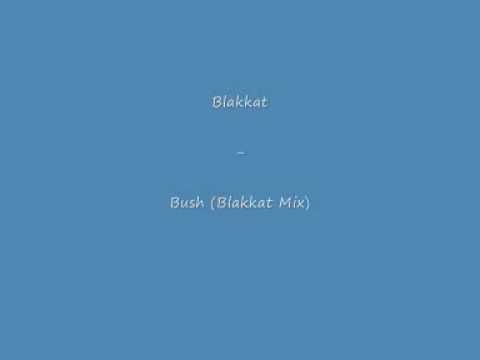 Blakkat - Bush (Blakkat Mix)