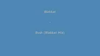 Blakkat - Bush (Blakkat Mix)