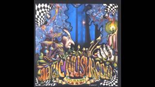 Magic Mushroom Band-Turban Paranoia 1992