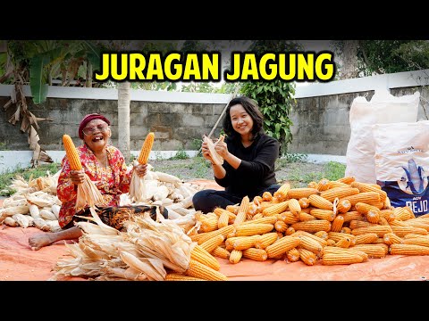 MBAH MINTO PANEN JAGUNG HEBAT - DAGELAN JOWO 173 - Ucup Klaten 2021