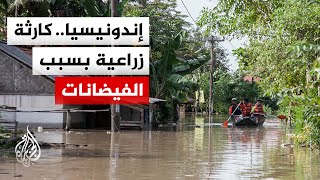 Download lagu الفيضانات تجتاح مزارع الأرز والبن وتخلف خسائر فادحة بإقليم آتشيه الإندونيسي mp3