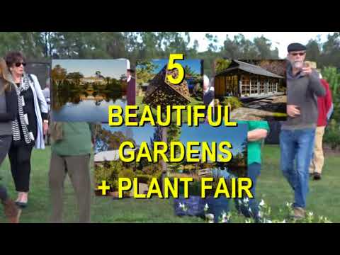 download lagu mp3 mp4 Landscape Design Southern Highlands, download lagu Landscape Design Southern Highlands gratis, unduh video klip Landscape Design Southern Highlands