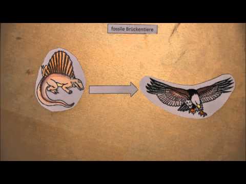 Halsschmerzen und Hals nach der Narkose Fliegt Kiefergelenk
