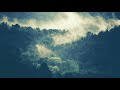 Melody Songs