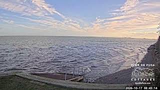 🌊 LIVE EAST Dungeness Bay Webcam from Juan de Fuca Cottages | Sequim WA Coastal Views 🦅🐟 live webcam