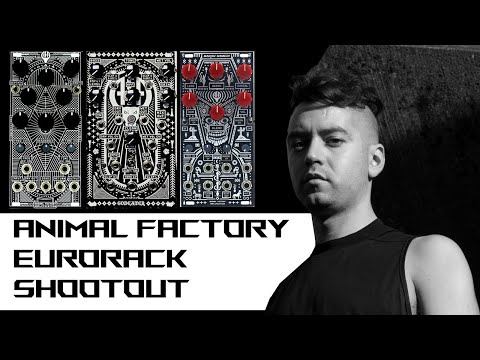 LIFE IN THE ANIMAL FACTORY