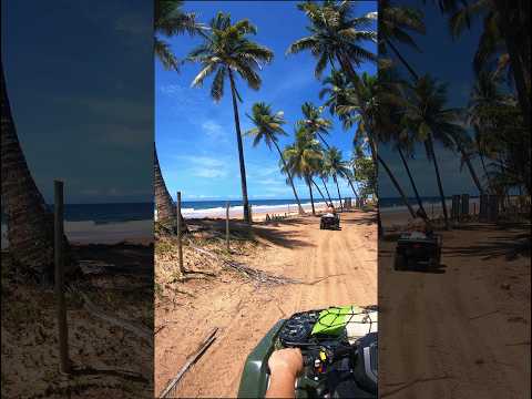 Aventura de quadriciclo na praia de Cassange, Península de Marau Bahia