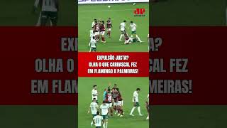 EXPULSÃO EM FLAMENGO X PALMEIRAS! OLHA POR QUE CARRASCAL FOI EXPULSO! ARBITRAGEM ACERTOU?