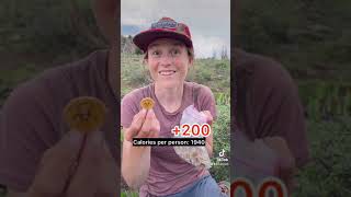 Walking the Great Divide: A Journey Along the Continental Divide Trail Trailer
