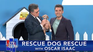 Rescue Dog Rescue with Oscar Isaac