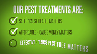 preview picture of video 'Green Guard Pest Control Boise, ID'