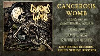 Cancerous Womb - Up To My Nuts In Guts