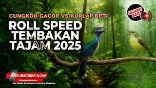 Download lagu Roll Speed Tembakan Tajam 2025 Cucak Cungkok Super Gacor vs Kolibri Manggar Betina Necret Rapet mp3