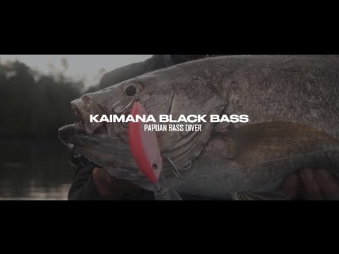 FULL VIDEO - KAIMANA BLACK BASS with the TOUGHFIA PAPUAN BASS DIVER CRANKBAIT