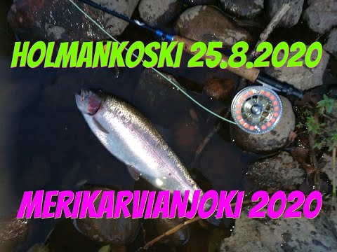 Kirjolohta | Holmankoski | Merikarvianjoki | Kalastus