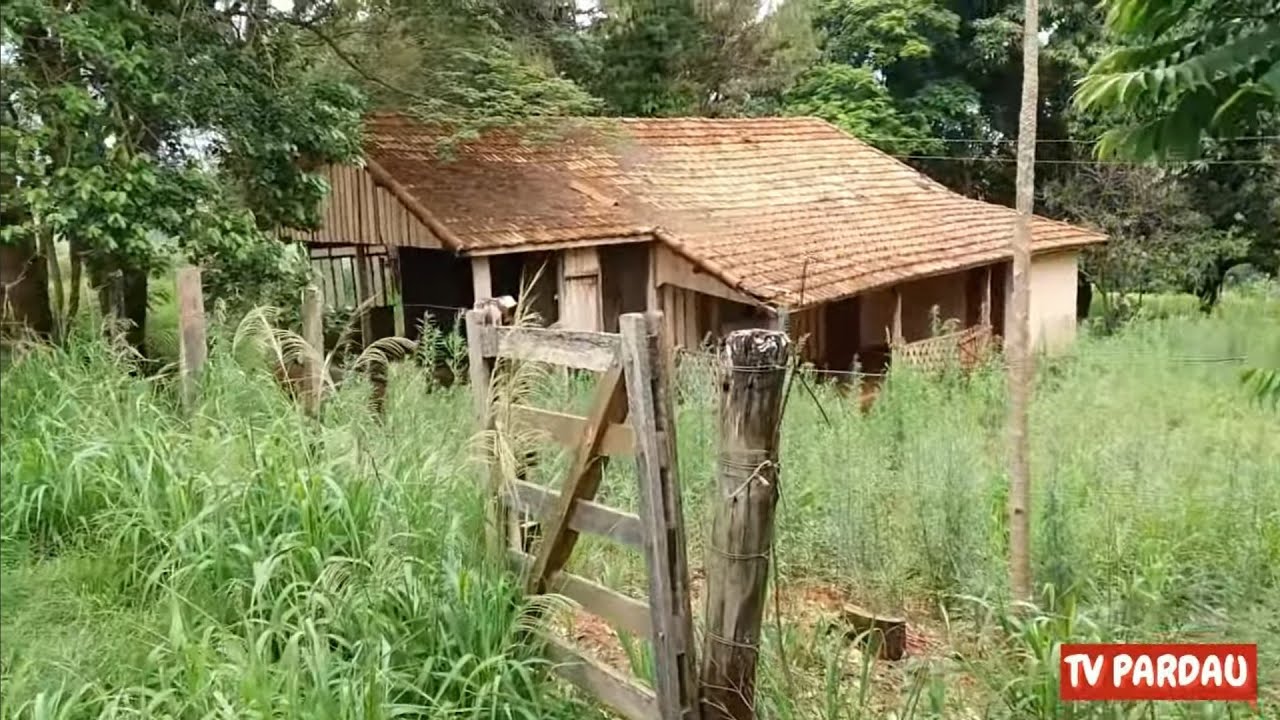 Morador Virava Lobisomem e Chupa Cabras e Foi Abatido Pelo Vizinho