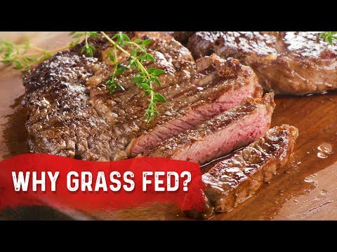 An APPLE a Day Will NOT Let Your Weight Go Away – Dr Berg