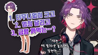 타조라이 히바리 【니지산지 | 와타라이 히바리】