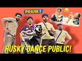 Viral Husky Dance Public Prank Universe Prank Funny